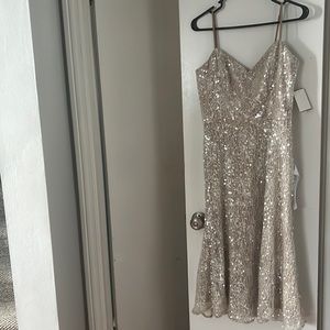 Champagne Sequin Dress